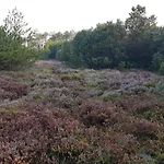 2 Person In Tarm Fjerbæk